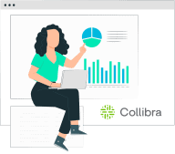 Datameer Spotlight and Collibra - how does collibra work