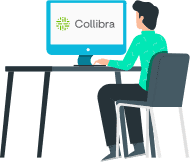 Datameer Spotlight and Collibra - how is collibra typically used