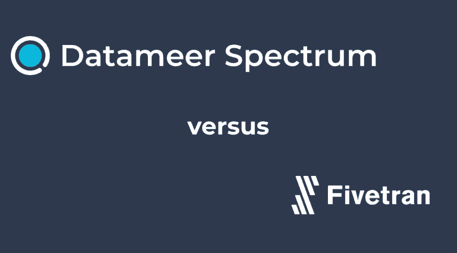 Datameer Spectrum & Fivetran