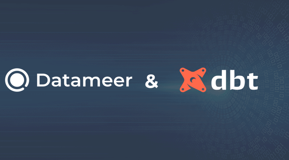 Datameer and dbt