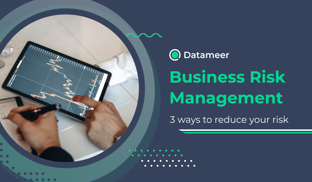 A Favorite Tool for Business Risk Management - Datameer