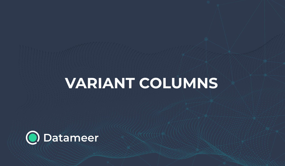 Dealing with variant columns in snowflake datameer