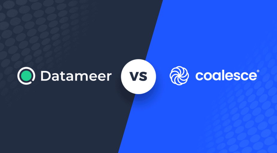 Datameer vs Coalesce