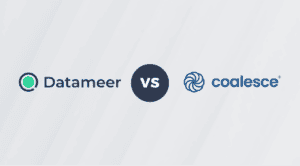 Datameer vs Coalesce